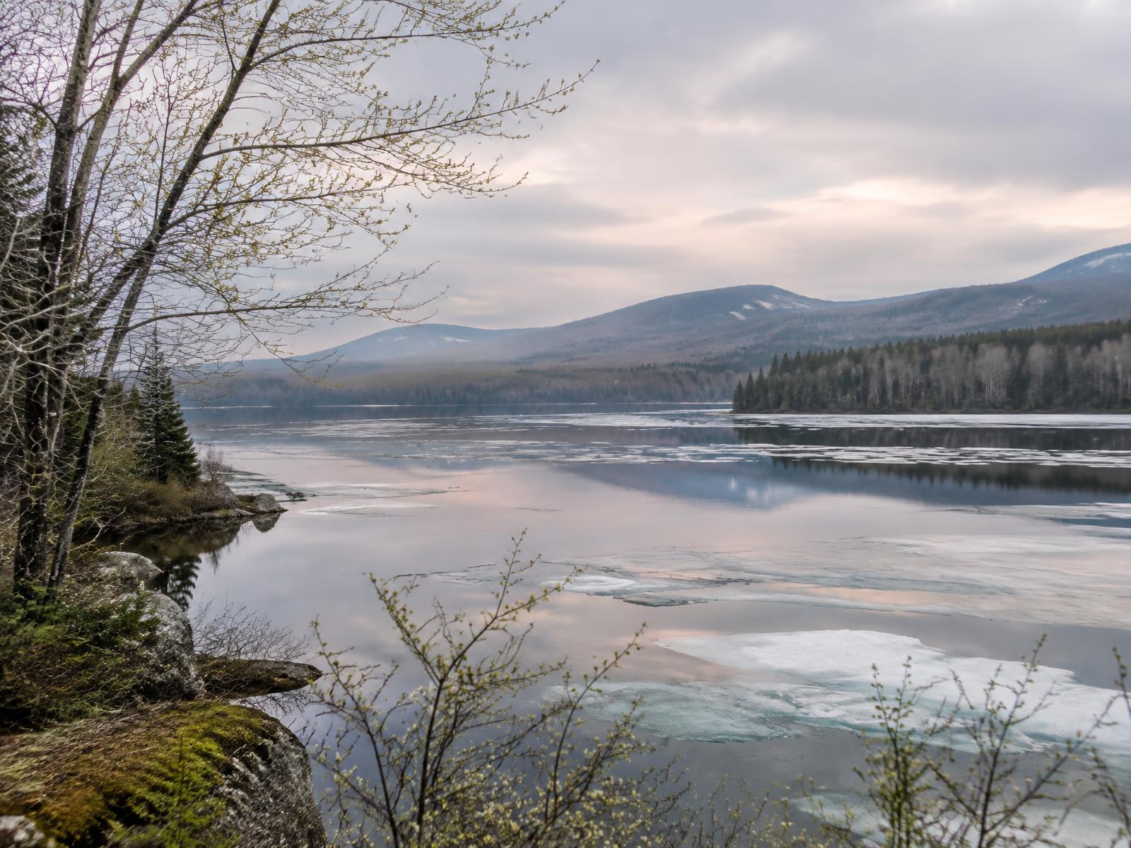 Spring thaw on the lake, pale buds on bare trees